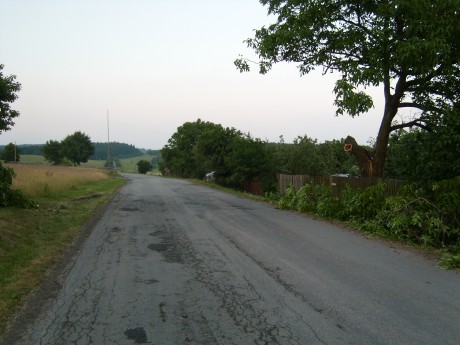 SL270154.JPG