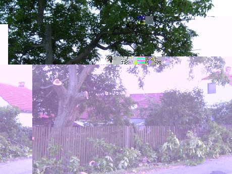 SL270155.JPG