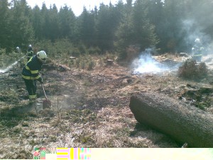 12032011-002-.jpg