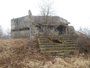 dscn0300.jpg