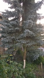 wp_20150306_16_14_30_pro.jpg